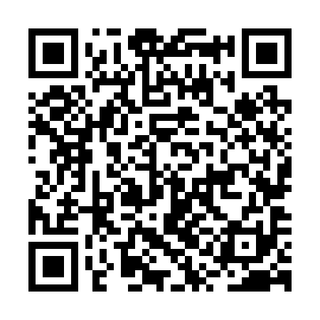 QR code for BQN291