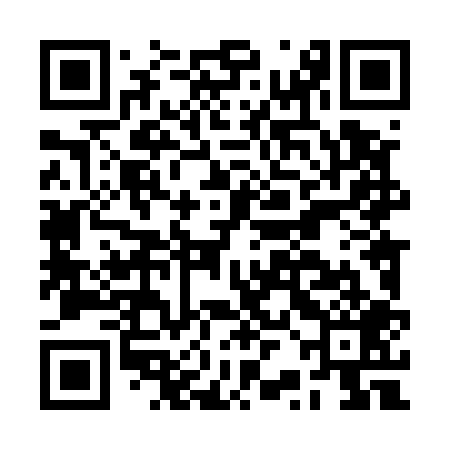 QR code for BRL509