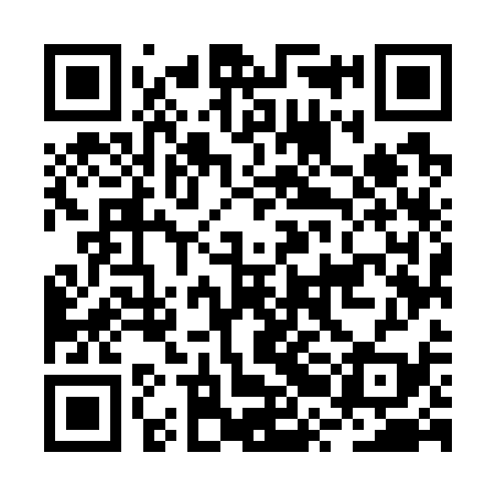 QR code for BRM739