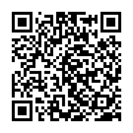 QR code for BRN229
