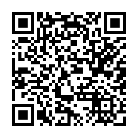 QR code for BSE919