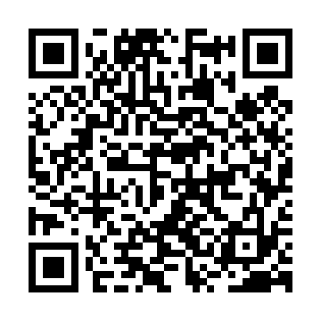 QR code for BSG433