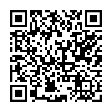 QR code for BSV271