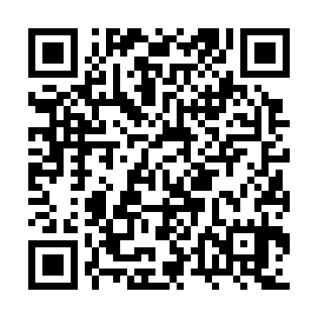 QR code for BTF335