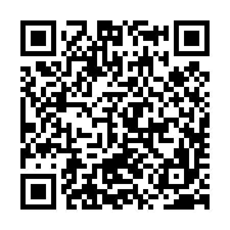QR code for BUB496