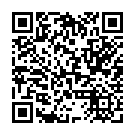 QR code for BVG339