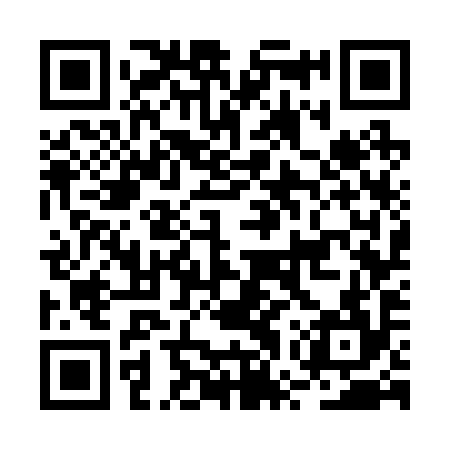 QR code for BWW294