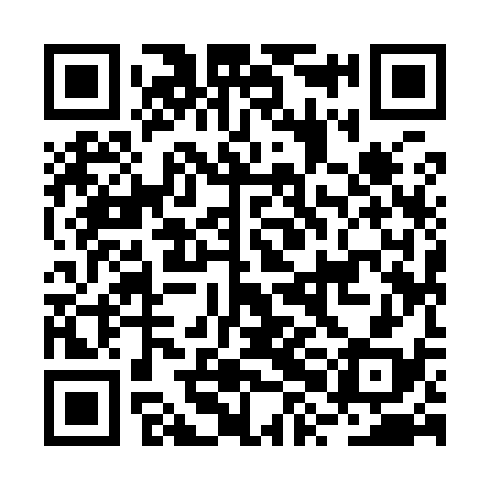 QR code for BXI938
