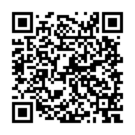 QR code for BZJ594