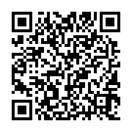 QR code for CAE312