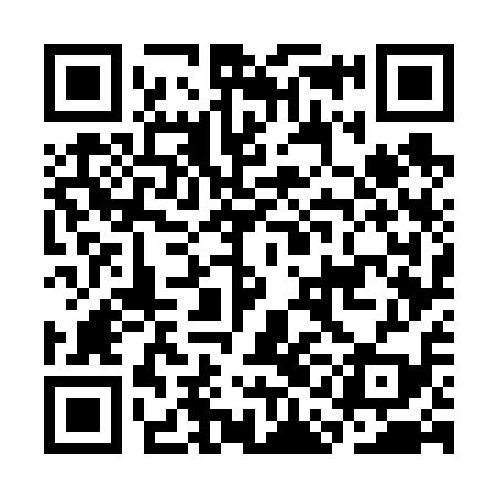 QR code for CAG619