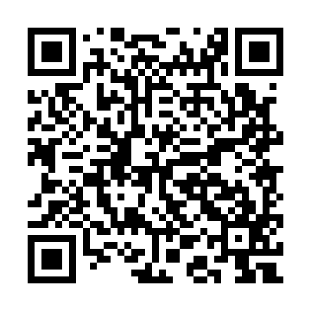 QR code for CAP197
