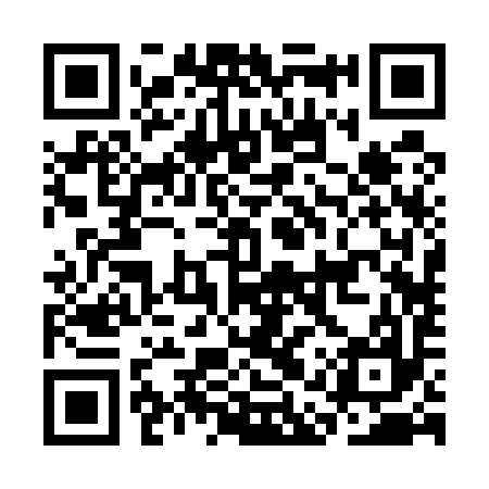 QR code for CAR597
