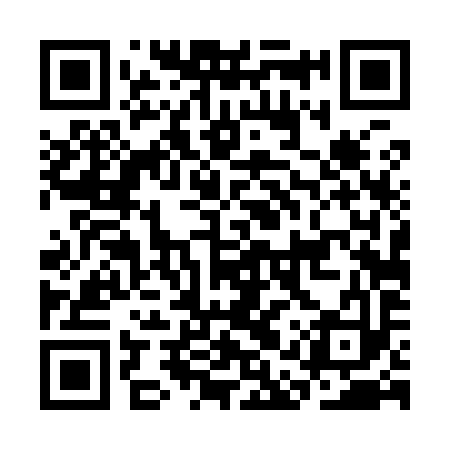 QR code for CAT993