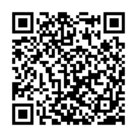 QR code for CDY313