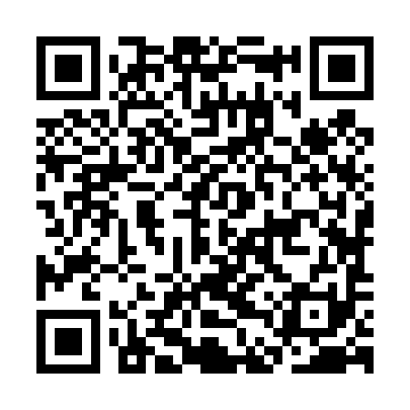 QR code for CDZ491