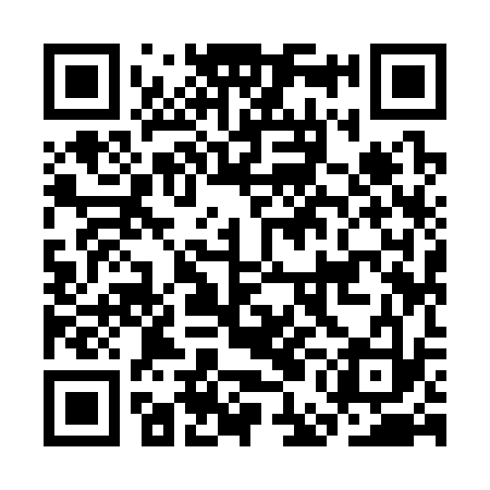 QR code for CEI333