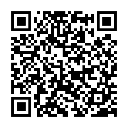 QR code for CEO541