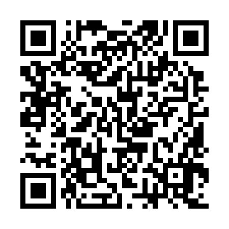 QR code for CGM386