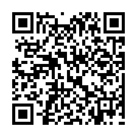 QR code for CHF976