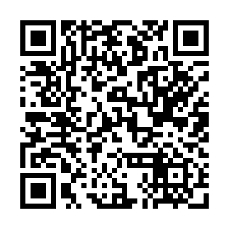 QR code for CHI119