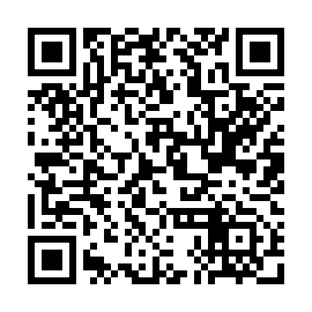 QR code for CHI353