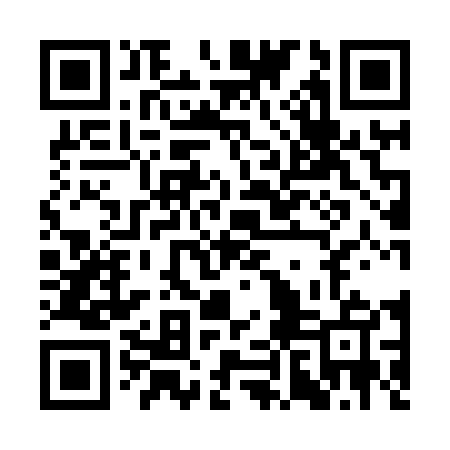 QR code for CHI845
