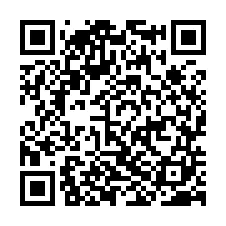 QR code for CHO941