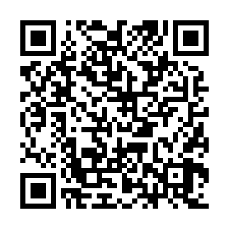 QR code for CHV868