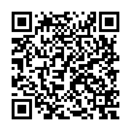 QR code for CHX919