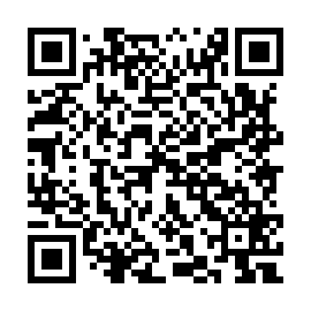 QR code for CHX969