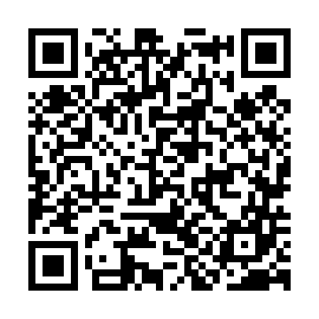 QR code for CIN447
