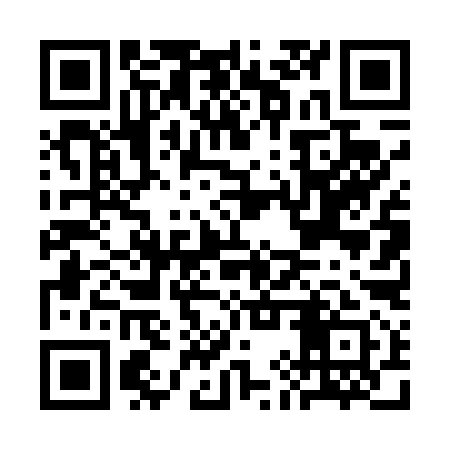 QR code for CIT491