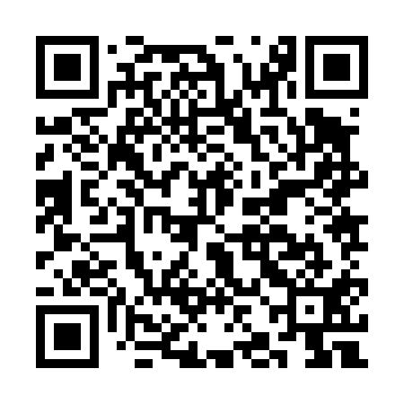 QR code for CJJ411