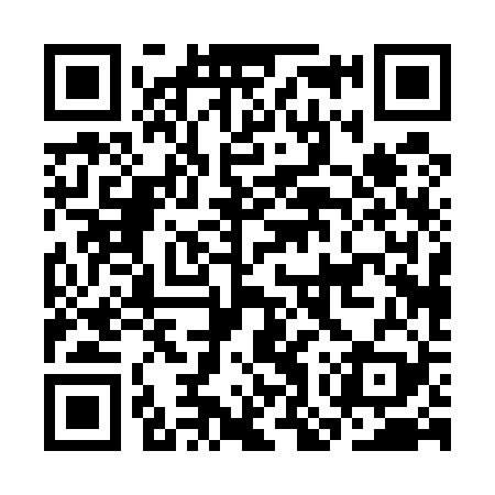 QR code for COP529