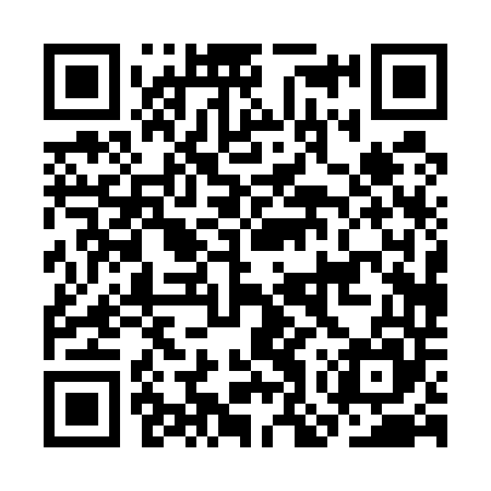 QR code for COP545