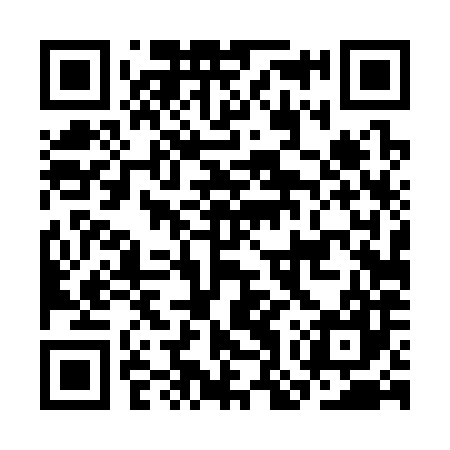 QR code for COT387