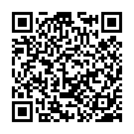 QR code for CQG411