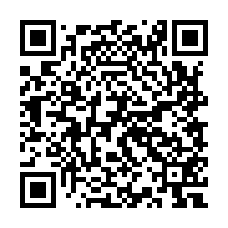 QR code for CRT951