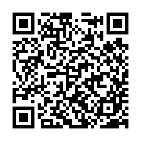 QR code for CSS687