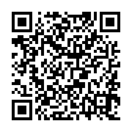 QR code for CTD595