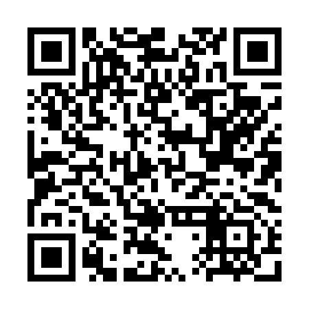 QR code for CTH493