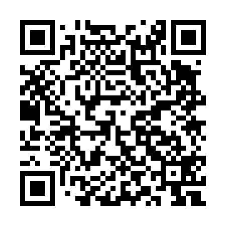 QR code for CYK419