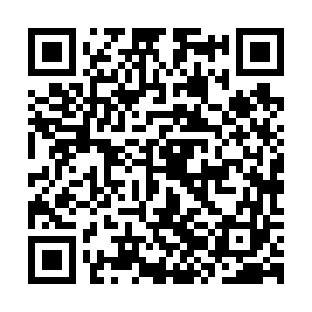 QR code for CZH663