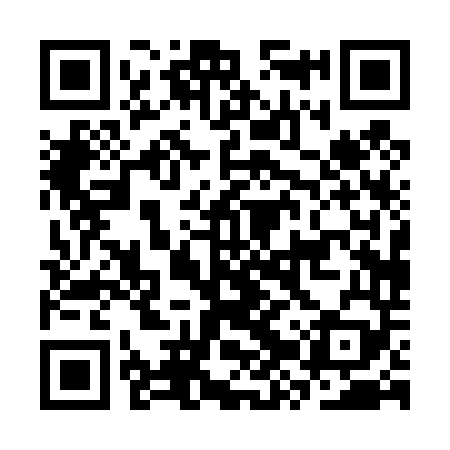 QR code for CZP449