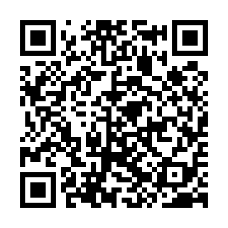 QR code for CZS519