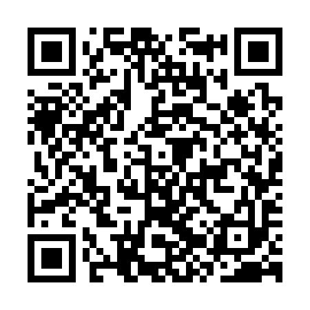 QR code for CZW393
