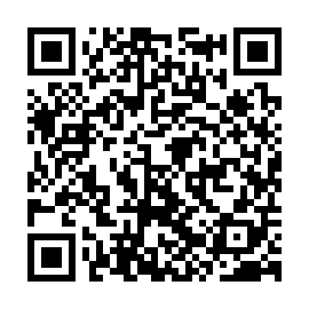 QR code for CZY308
