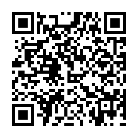 QR code for CZY919