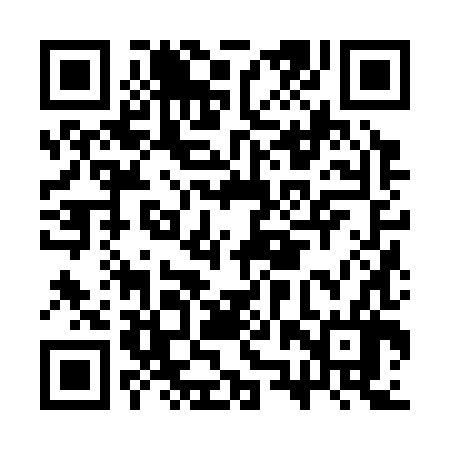 QR code for CZZ386